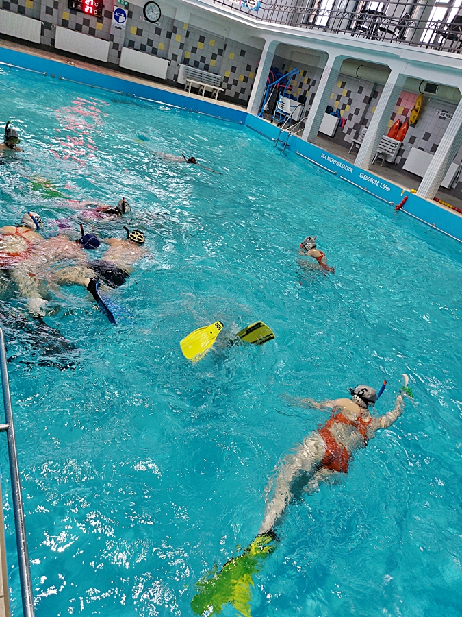 Hokej pod wodą Walenie Siemianowice Śląskie Trening 11 III 2023